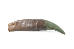 Image description is not available for 1998.2.3